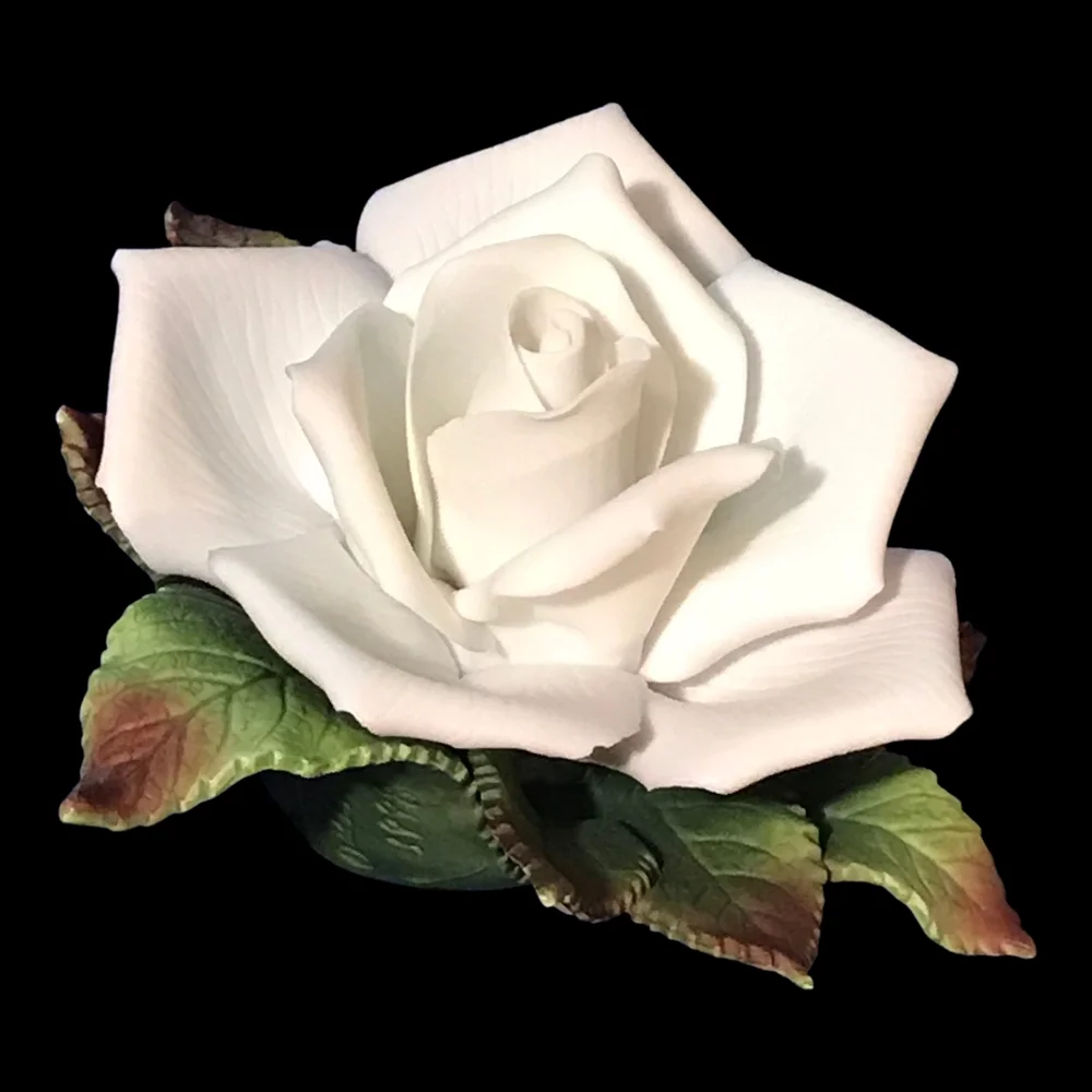 Beautiful Porcelain White Rose 3